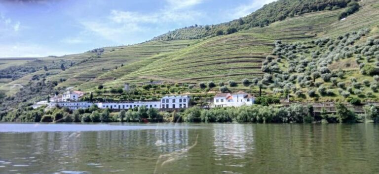 Classic Douro Tour: River, Train, Wine & Private Guide - What to Expect from the Classic Douro Tour
