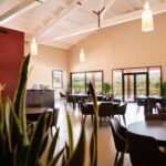 Classic Tour & Monovarietal Wines Tasting - An In-Depth Look at the Experience