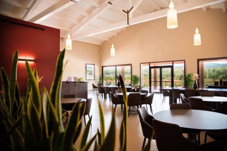 Classic Tour & Monovarietal Wines Tasting - An In-Depth Look at the Experience