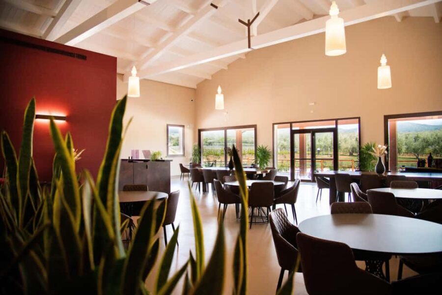 Classic Tour & Monovarietal Wines Tasting - An In-Depth Look at the Experience