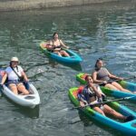 Clear Bottom Kayak Rental for Kings Bay Three Sisters Springs - What to Expect on This Self-Guided Tour
