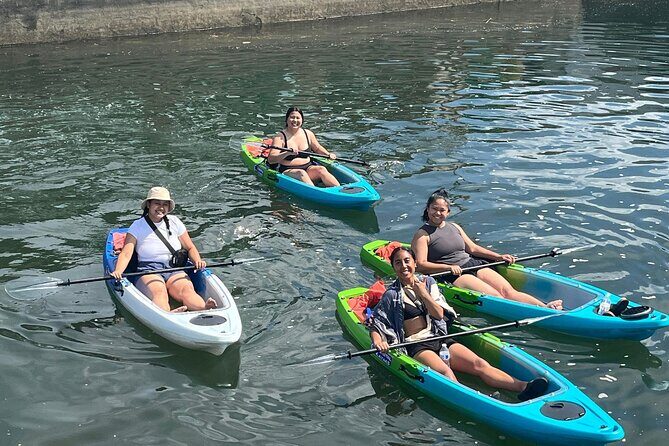 Clear Bottom Kayak Rental for Kings Bay Three Sisters Springs - What to Expect on This Self-Guided Tour