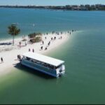 Clearwater Beach: Dolphin & Island Sandbar Cruise - Why This Tour Is a Great Value