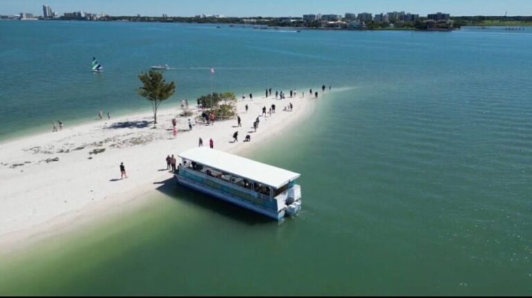 Clearwater Beach: Dolphin & Island Sandbar Cruise - Why This Tour Is a Great Value