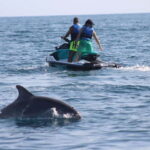 Closed circuit on Jetski - The Itinerary and Experience Breakdown