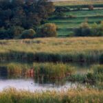 Cluj: Private Nature and Wildlife Photography Class - An Enthusiast’s Guide to the Cluj Nature Photography Class