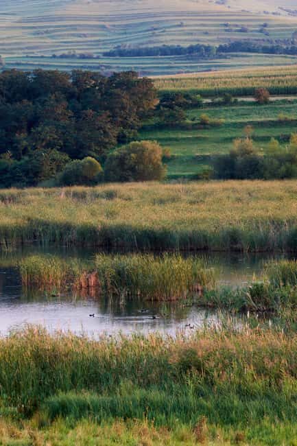 Cluj: Private Nature and Wildlife Photography Class - An Enthusiast’s Guide to the Cluj Nature Photography Class