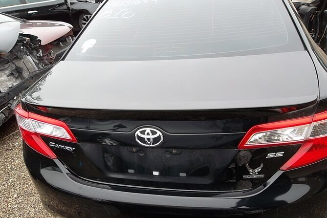 CO2-Offset Departure Transfer Palermo City to Palermo Airport - Detailed Review of the Palermo-to-Airport Transfer Experience