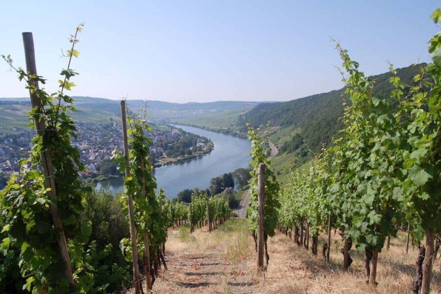 Cochem, Moselle: Wine experience hike with boat trip - Starting with a Scenic Boat Ride on the Moselle