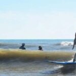 Cocoa Beach: 1-Hour Surf Lesson - What to Expect on the Day