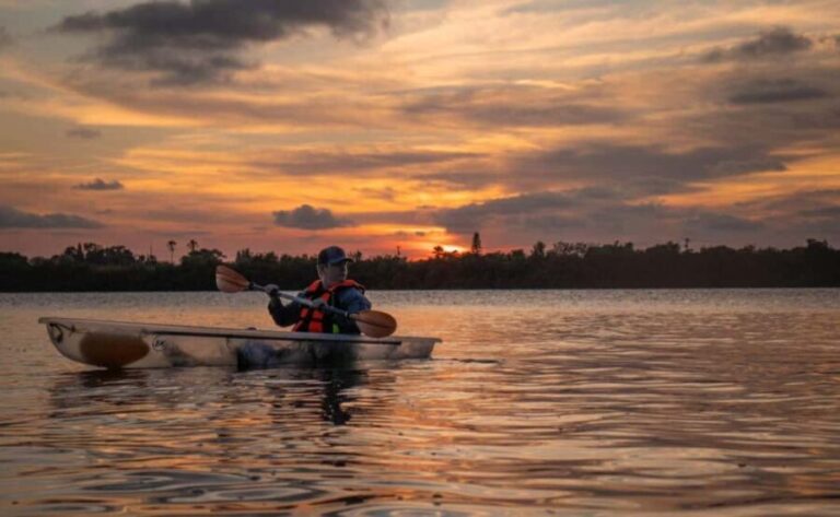 Cocoa Beach: Clear Kayak Sunset & Bioluminescence Tour - What to Expect from the Tour