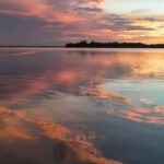 Cocoa Beach: Dolphin & Manatee Pontoon Cruise - Why This Tour Excels: Highlights and Unique Features