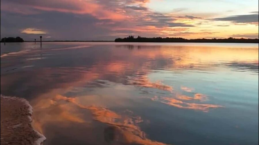 Cocoa Beach: Dolphin & Manatee Pontoon Cruise - Why This Tour Excels: Highlights and Unique Features