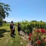 Cognac 4x4 getaway in the vineyards and visit/tasting at a winemaker's estate - Price and Value