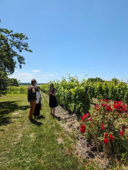 Cognac 4x4 getaway in the vineyards and visit/tasting at a winemaker's estate - Price and Value