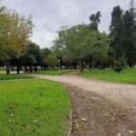 Coimbra: guided tour with a cinematic perspective - Detailed Tour Breakdown