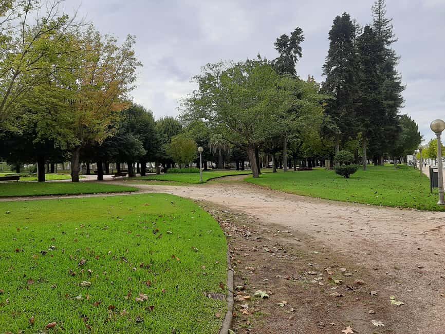 Coimbra: guided tour with a cinematic perspective - Detailed Tour Breakdown