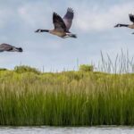 Cold Spring Harbor: Guided Kayak Tour with Instruction - FAQ