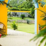 Colonial Valladolid and Cenote Swimming Private Tour from Cancun - Final Thoughts: Who Will Love This Tour?