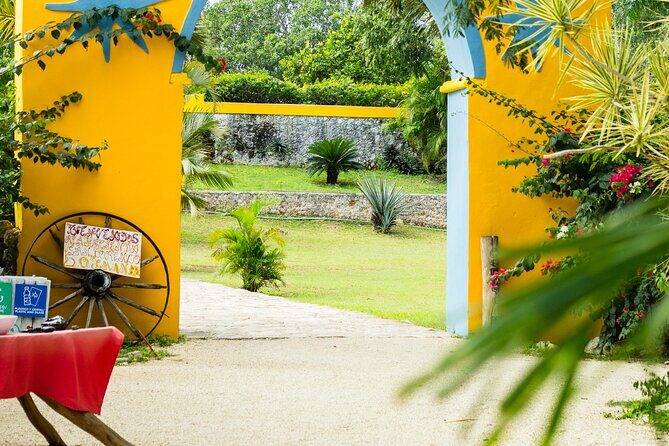 Colonial Valladolid and Cenote Swimming Private Tour from Cancun - Final Thoughts: Who Will Love This Tour?