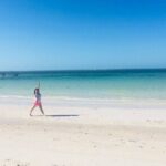 Coloradas, Ria Lagartos Boat Trip & One Natural Beach from Merida - FAQ