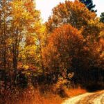 Colorado Peak-to-Peak Tour (Fall-Color-Extravaganza) - Who Should Consider This Tour?