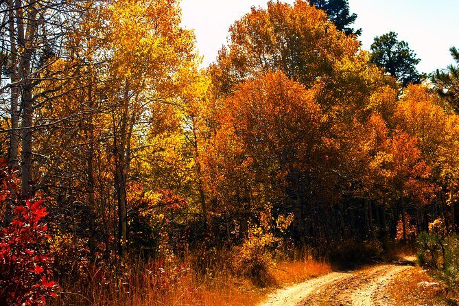 Colorado Peak-to-Peak Tour (Fall-Color-Extravaganza) - Who Should Consider This Tour?