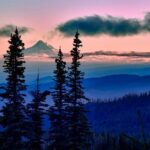 Columbia Gorge Waterfalls & Wineries from Portland: All-Inclusive Afternoon Tour - Practical Tips for a Great Experience