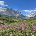 Columbia Icefield: Guided Glacier Hike - The Itinerary: What to Expect on the Glacier Hike
