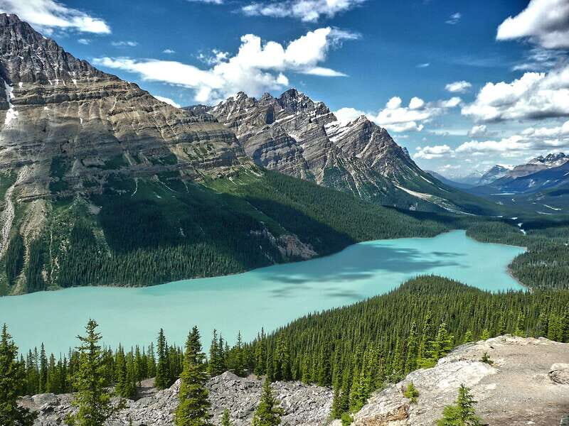 Columbia Icefield, Peyto Lake, Bow Lake Discovery Tour - What Travelers Can Expect