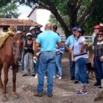 Combo Horse Back Riding and Zip Line in Vallarta - The Sum Up