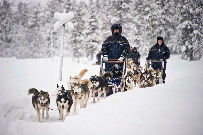 COMBO Private tour HUSKY and REINDEER Park by VIP car with guide - Practical Tips for Travelers  