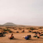 Come surf with me! Sealover Surfschool - The pros and cons