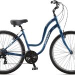 Comfort Bike for the Day - Practical Tips for Your Bike Rental Day