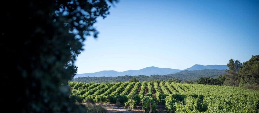 Commanderie de Peyrassol: Guided tour of the sculpture park by golf cart - Who Will Love This Tour?