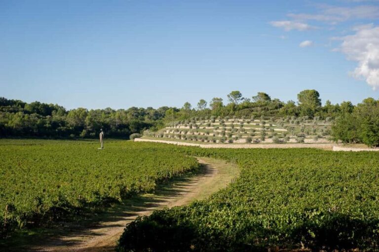 Commanderie de Peyrassol: Self-guided tour among art, vineyards, and forest - Gardens and Natural Spaces