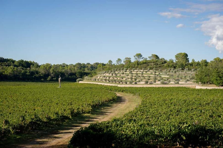 Commanderie de Peyrassol: Self-guided tour among art, vineyards, and forest - Gardens and Natural Spaces