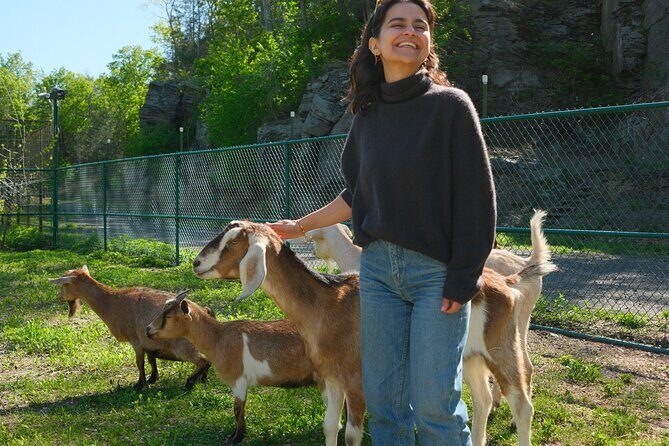 Connect with Rescue Animals on a Private Farm Tour in Catskills - An In-Depth Look at the Private Farm Tour Experience