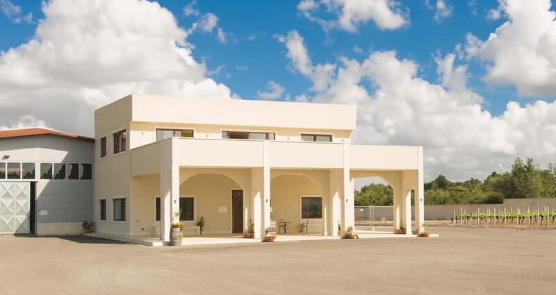 Conversano: wine tasting tour in the winery - The Itinerary and What to Expect