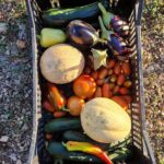 Cooking class on island Brac - Transportation and Group Experience