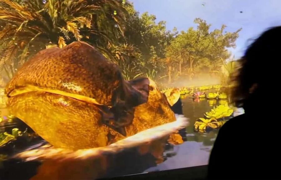 Copenhagen: Hologram Zoo Africa Adventure 40 minut - Final Thoughts