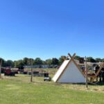 Copenhagen: Tour of Roskilde, the Viking city in Spanish - A Detailed Breakdown of the Itinerary and What to Expect