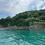 Coral island guayabitos beach and snorkeling - A Closer Look at the Coral Island Guayabitos Tour