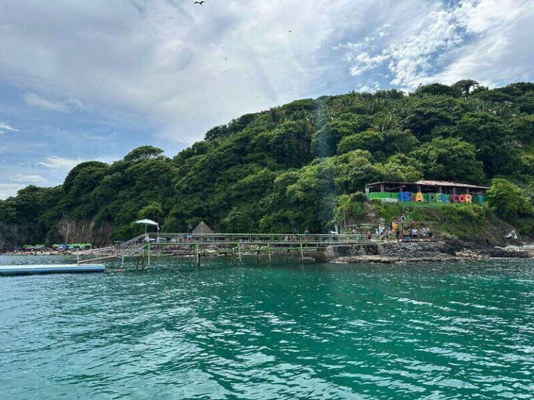 Coral island guayabitos beach and snorkeling - A Closer Look at the Coral Island Guayabitos Tour