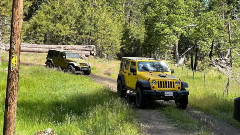 Cordoba: Guided Jeep Tour in Stanislaus National Forest - The Itinerary: A Deep Dive into the Day