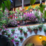 Córdoba: Guided tour in Spanish to the courtyards of Córdoba - Who Will Love This Tour?