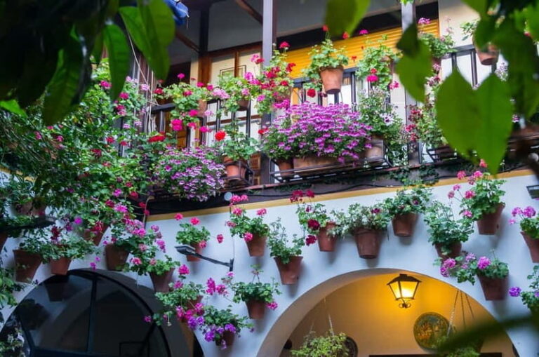 Córdoba: Guided tour in Spanish to the courtyards of Córdoba - Who Will Love This Tour?