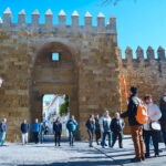 Córdoba: Jewish Quarter, Mosque, and Alcázar Tour - Who is This Tour Best For?