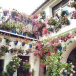 Córdoba Patio Competition: A unique experience of flowers and tradition. - Who Should Book This Tour?