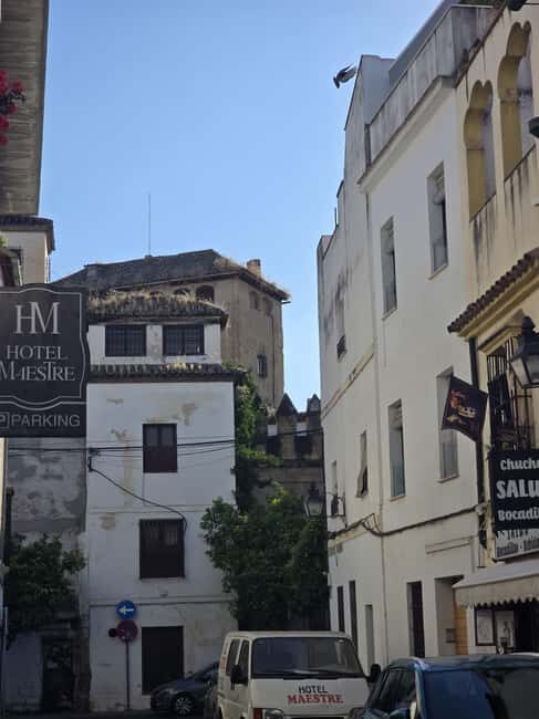 Córdoba: Tour of the Mosque-Cathedral, the Roman Bridge, and the Jewish Quarter. - An In-Depth Look at the Córdoba Tour